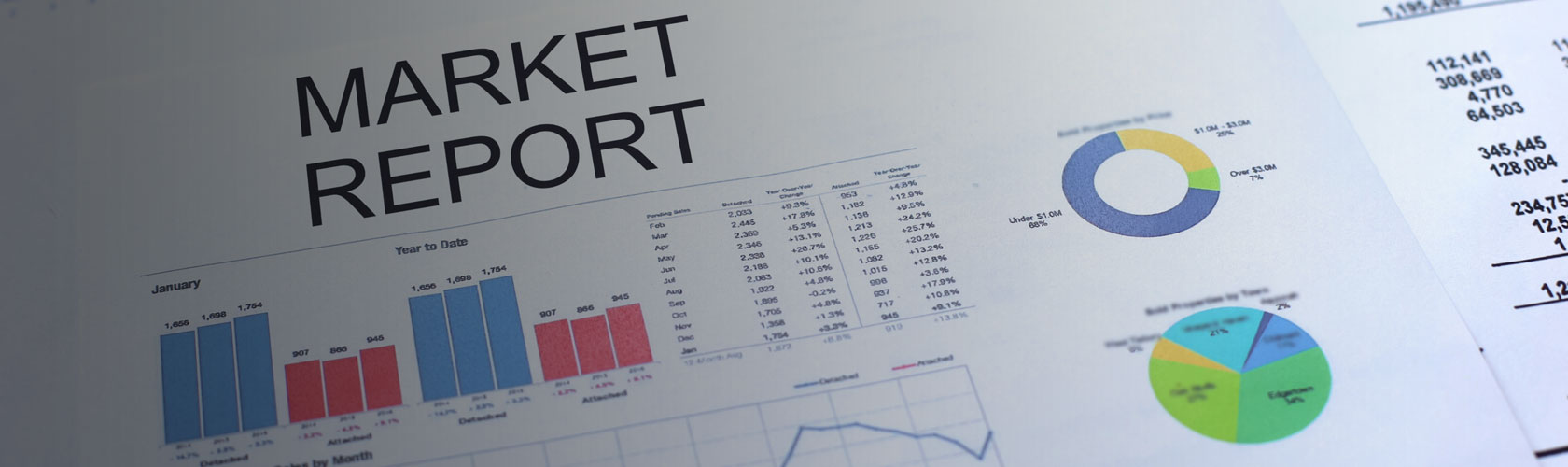 Market Report American International Foods, Inc.