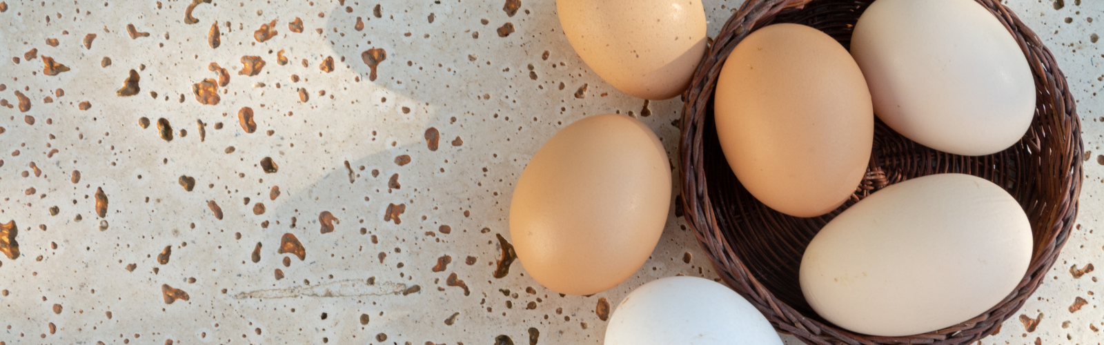 Dried Cage Free Eggs American International Foods, Inc.