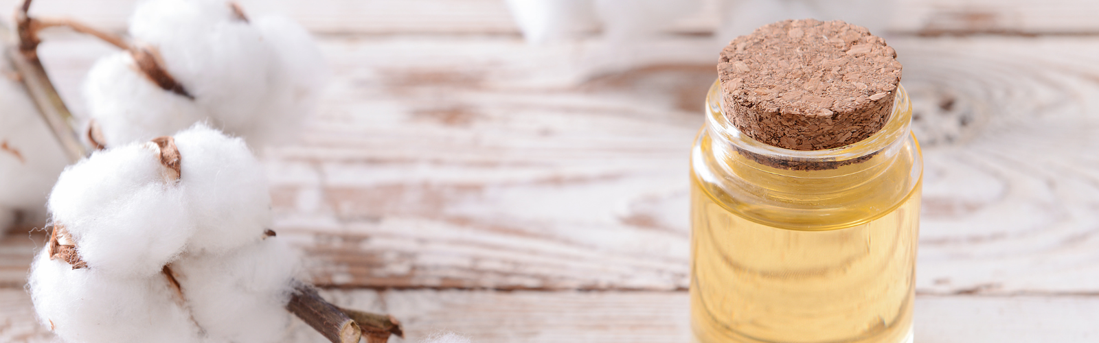 Cottonseed Oil American International Foods, Inc.