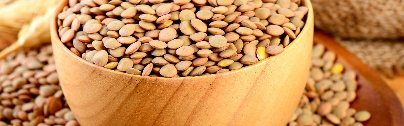 Lentil Flour American International Foods, Inc.