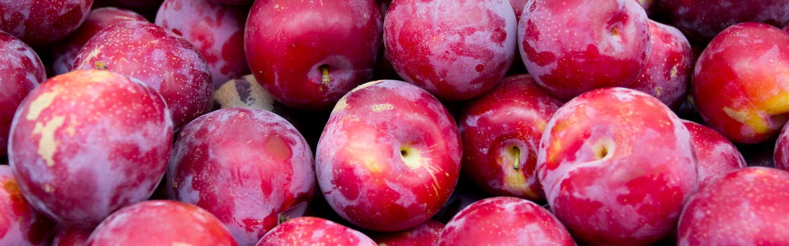 Plum Juice Concentrate American International Foods, Inc.