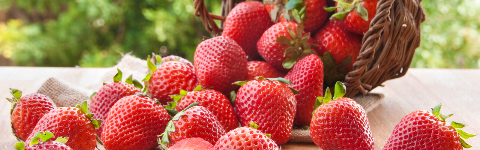 Strawberry Juice Concentrate American International Foods, Inc.